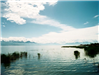 Large Lake With Moss and Blue Skies With Mountain Range in Background