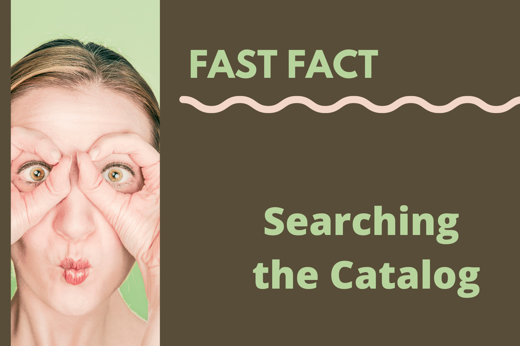 Fast Fact Searching the Catalog
