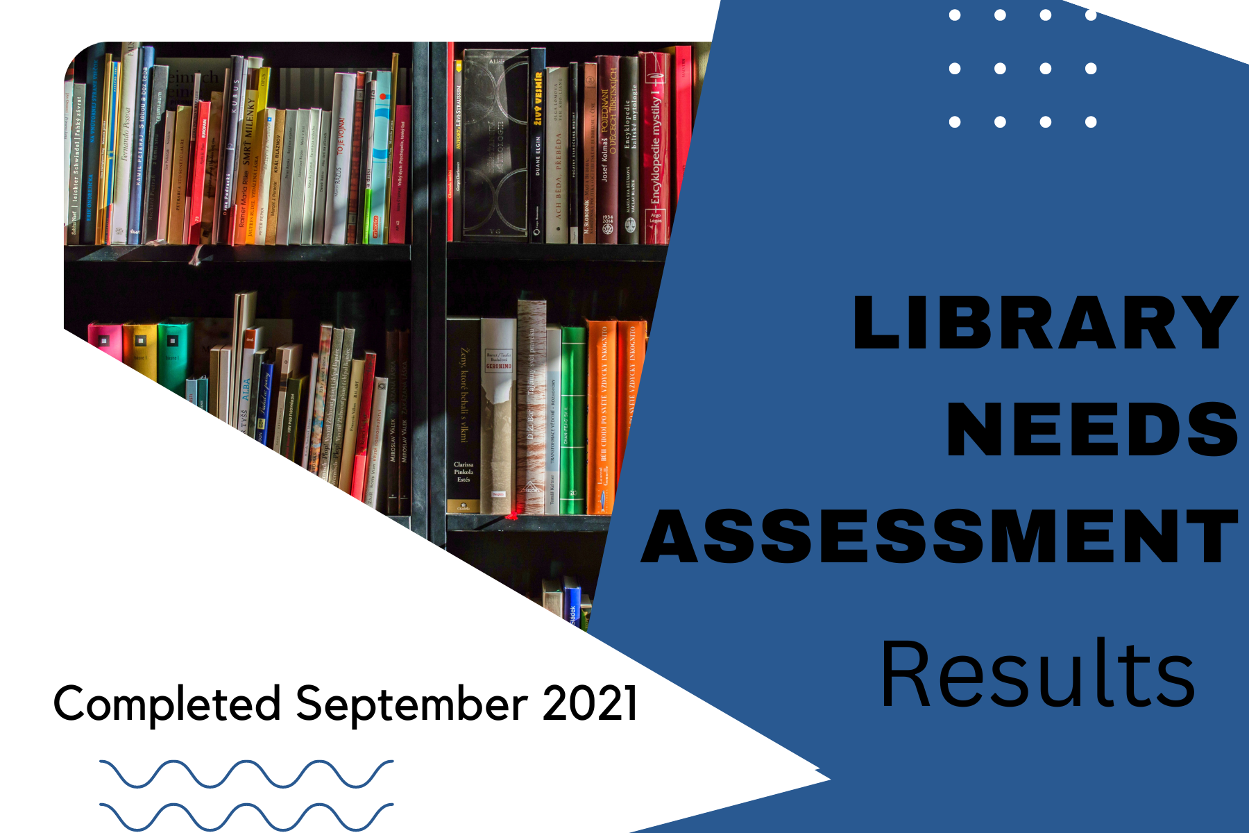 Needs Assessment Results