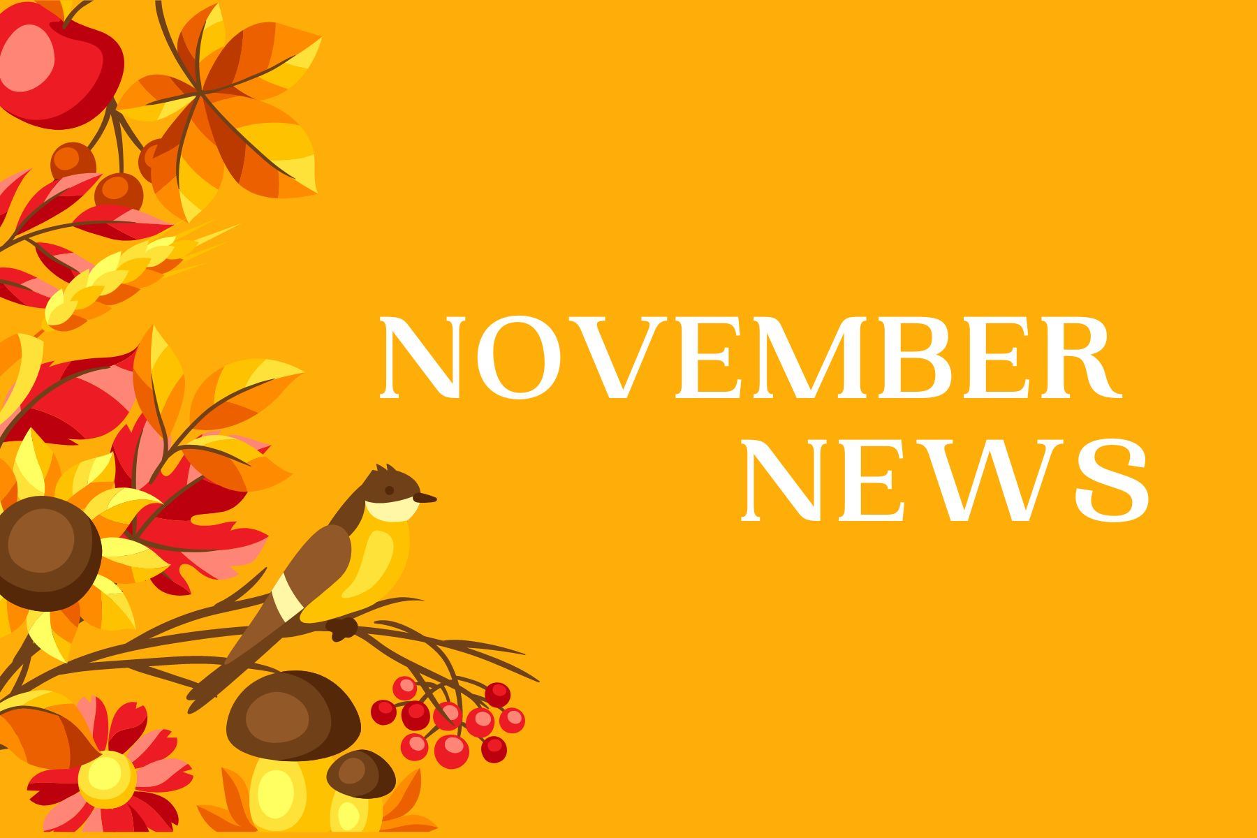 November News