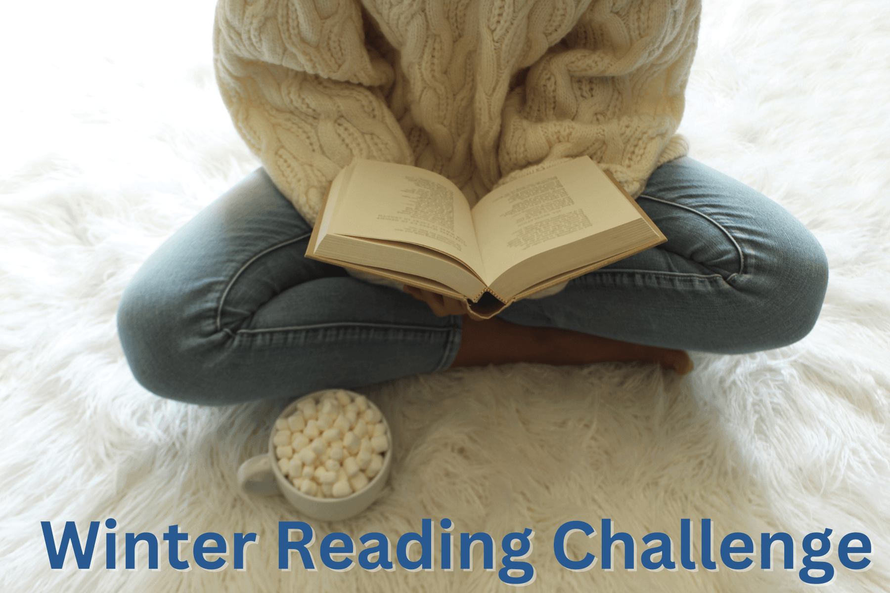 Winter Reading Challenge