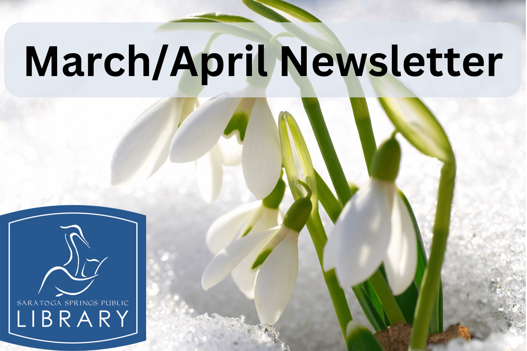 MarchApril Newsletter