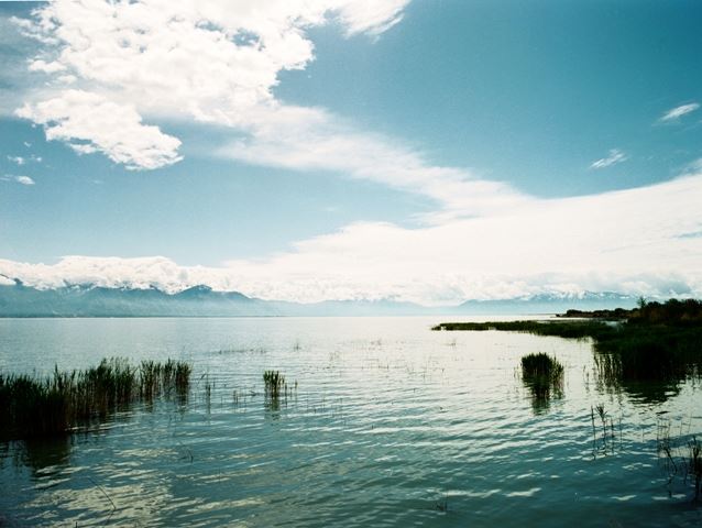Large Lake With Moss and Blue Skies With Mountain Range in Background