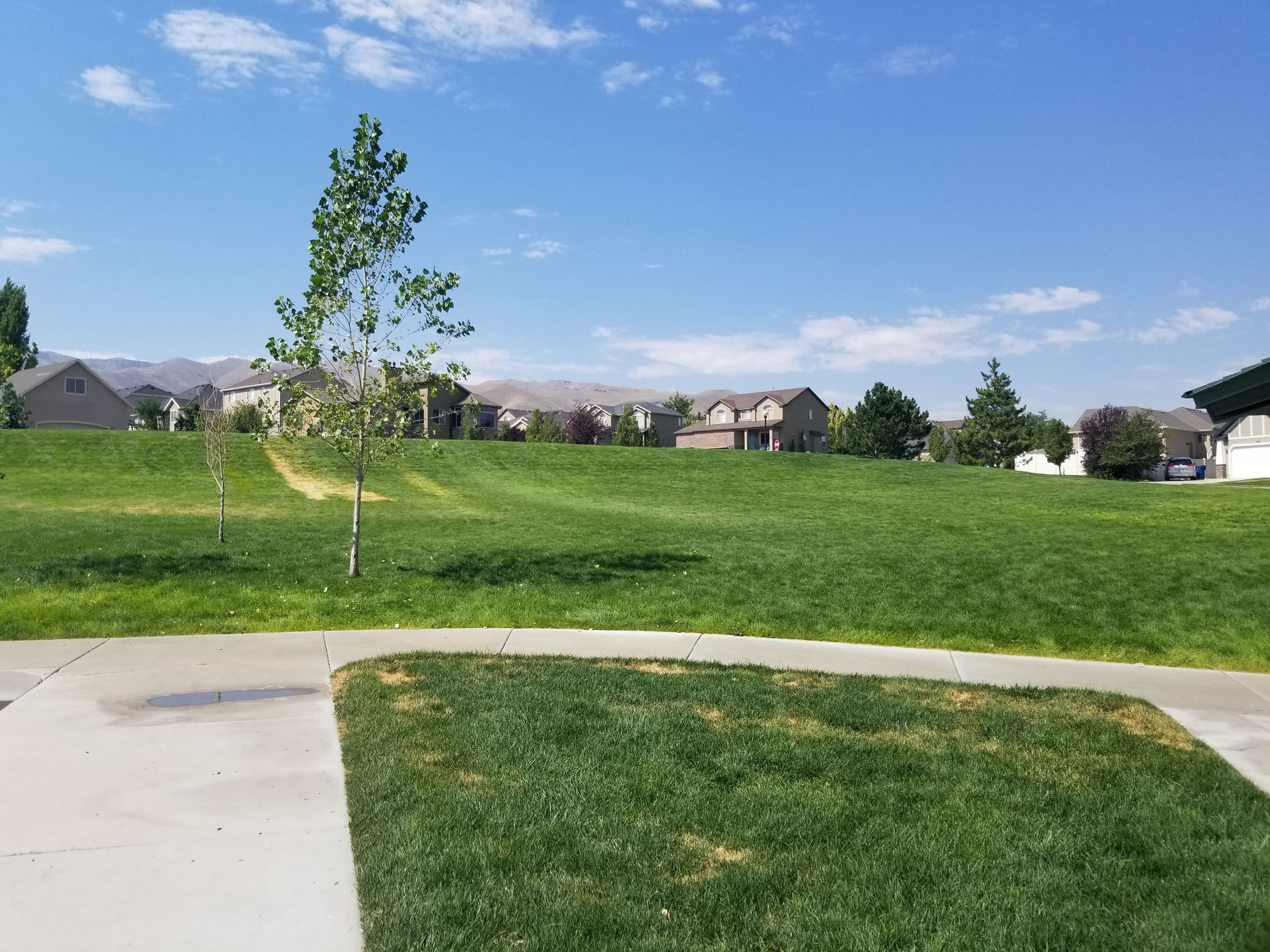 Island Park Open Space