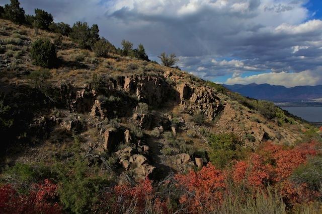 Side of Mountain With Many Trees With Red Leaves
