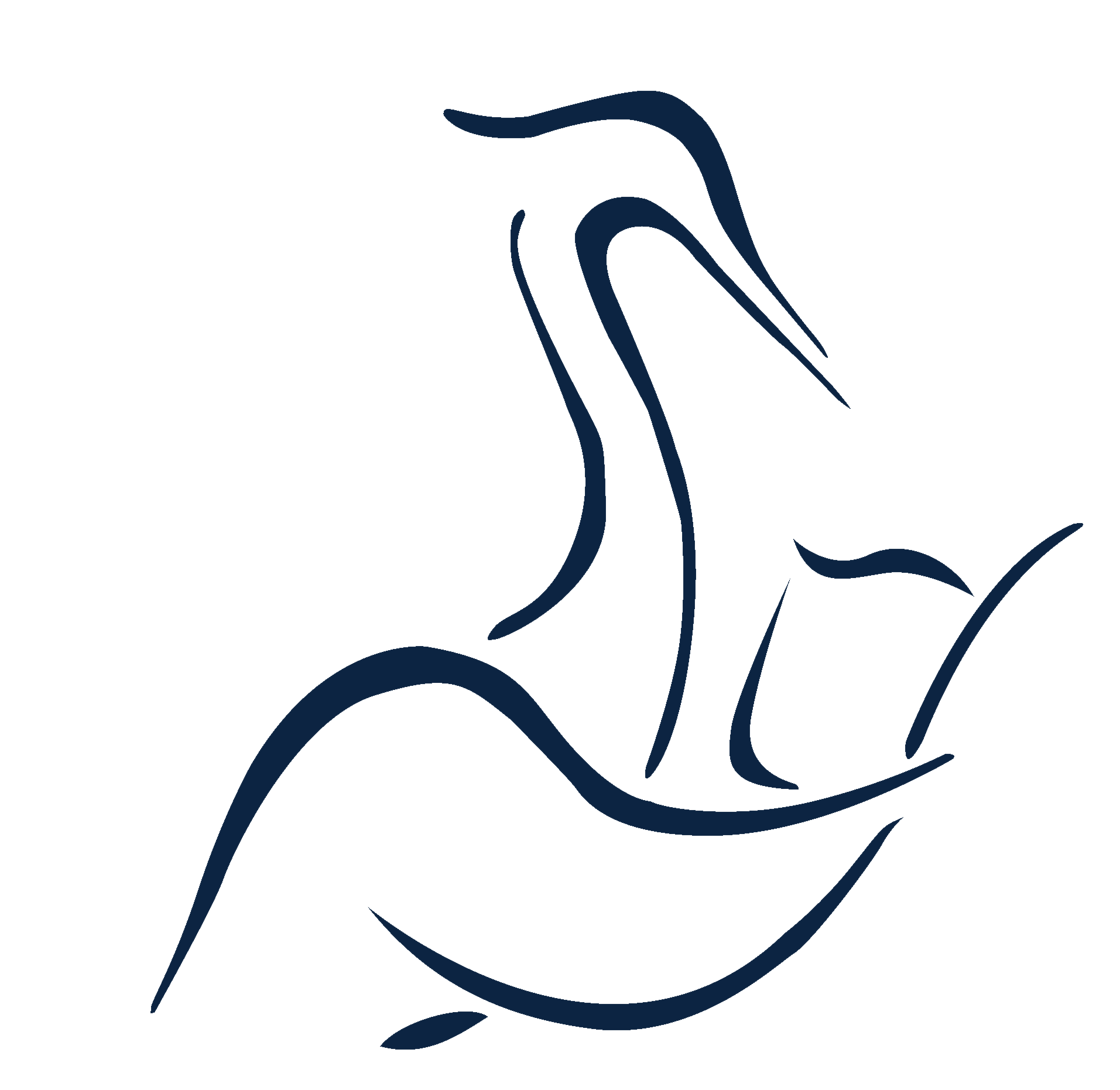 Saratoga Springs Library Logo_ Blue Simple