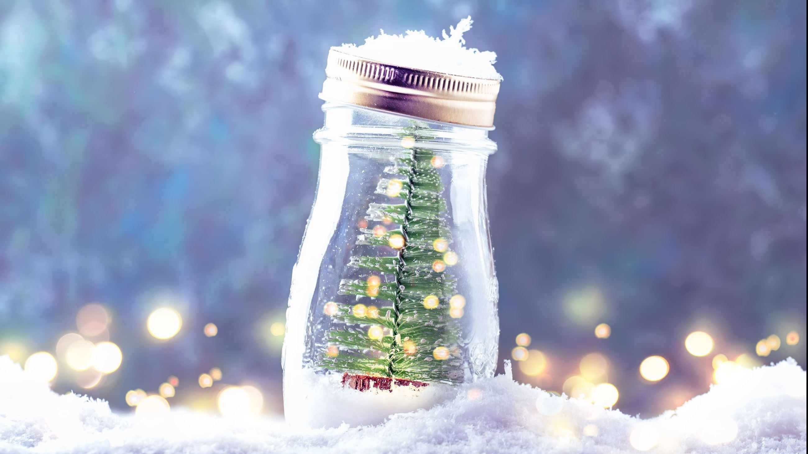 Evergreen tree in a jar sitting in the snow