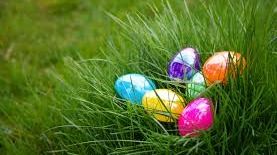 Easter eggs hidden in a large tuft of grass